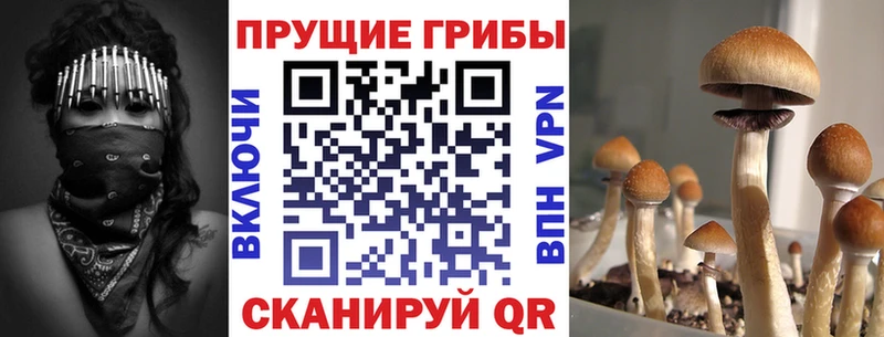 Галлюциногенные грибы GOLDEN TEACHER  Камызяк 